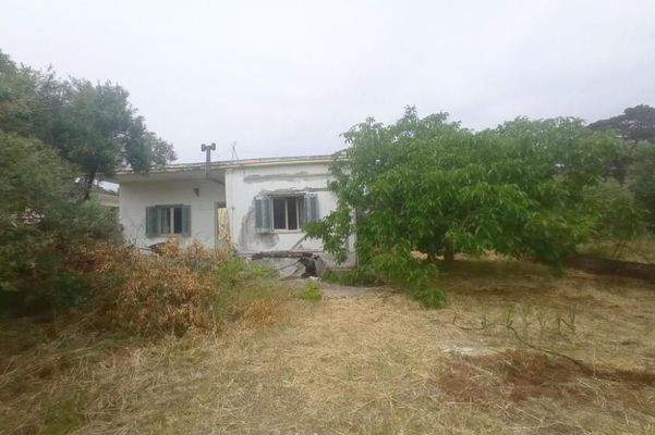 Kreta, Kastelli: Einfamilienhaus mit großem Garten in traditionellem Dorf zu verkaufen