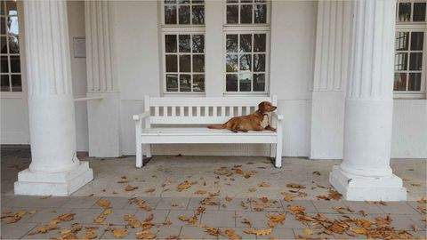 Bergkamen Halle, Bergkamen Hallenfläche