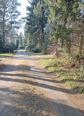 Straße vor dem Grundstück