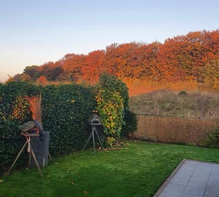 Herbstimpression.JPG