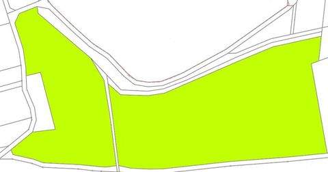 Platten Bauernhöfe, Landwirtschaft, Platten Forstwirtschaft