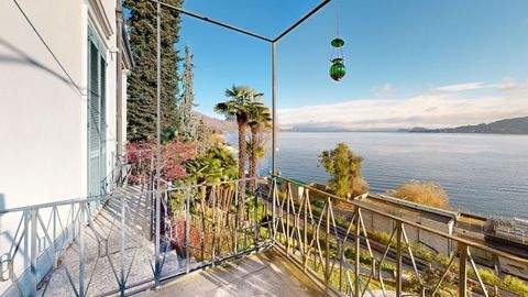 Meina Wohnungen, Meina Wohnung kaufen