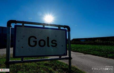 Gols Grundstücke, Gols Grundstück kaufen