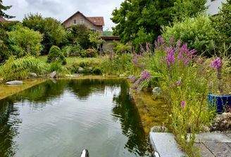 Das Haus mit Garten & Schwimmteich