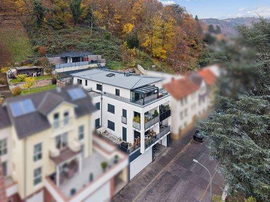 Penthouse mit Freisitz am Hang und Neckarblick