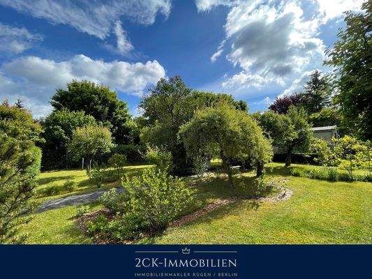 Albrecht-Dürer 22 021