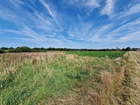 Mönchengladbach Bauernhöfe, Landwirtschaft, Mönchengladbach Forstwirtschaft