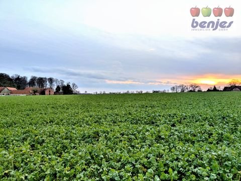 Bruchhausen-Vilsen / Homfeld Bauernhöfe, Landwirtschaft, Bruchhausen-Vilsen / Homfeld Forstwirtschaft