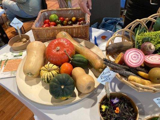 Mittersill - Gärtnerei.JPG