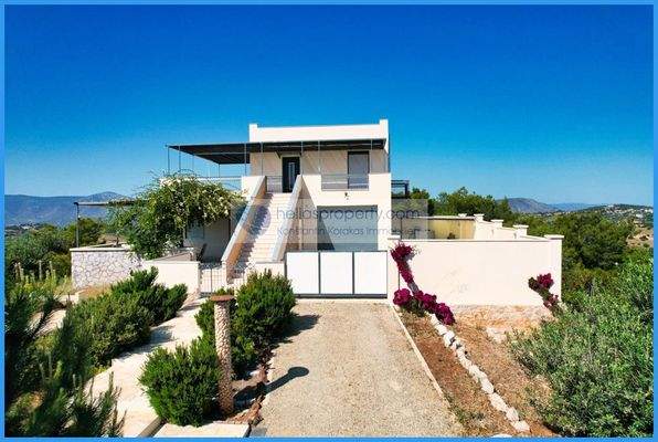 fc68d898c5a941398aa70ea75e261186-original