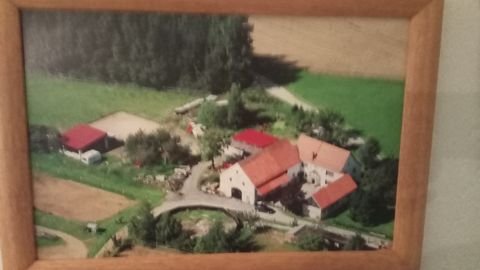 Königstein Häuser, Königstein Haus kaufen