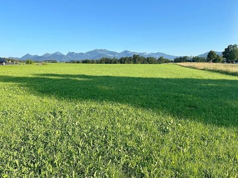 Prien am Chiemsee Grundstücke, Prien am Chiemsee Grundstück kaufen