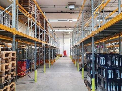 Ismaning Halle, Ismaning Hallenfläche