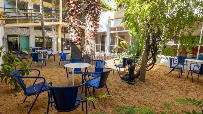 Main building   Courtyard garden 1