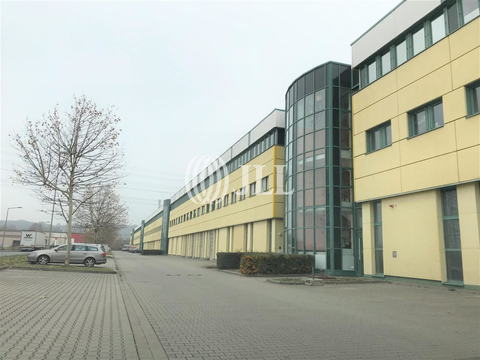 Dresden Halle, Dresden Hallenfläche