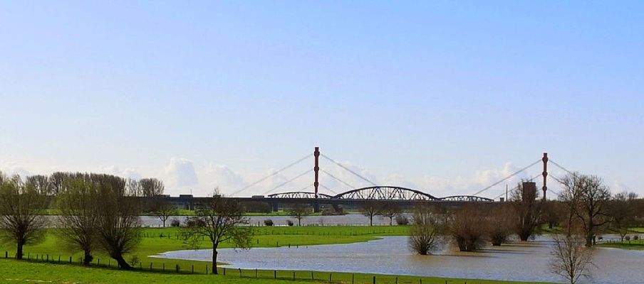 Rheinwiesen vor der Türe