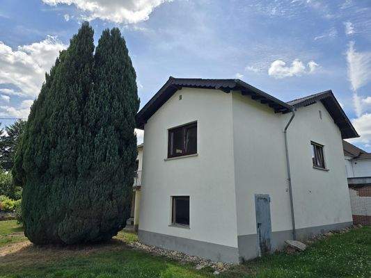 seitliche Rückansicht mit Eingang Kleintierstall