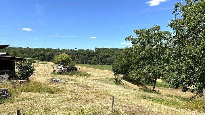 ca. 20.000 qm Land direkt am Haus 