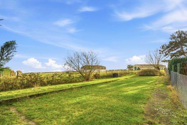 Gartenimpressionen 3