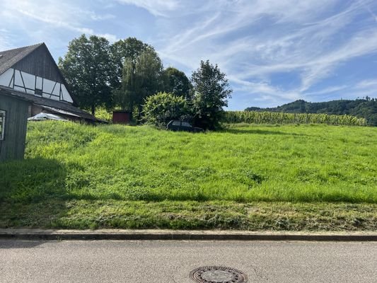 Toller Blick auf die Weinreben und auf das Schloss