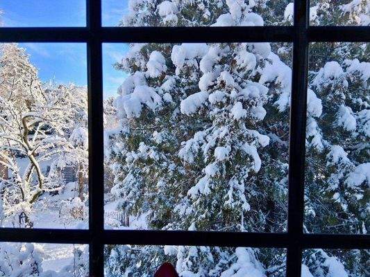 überall Traum Ausblick