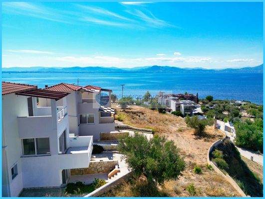 e7a8d056483348d7a120182049cfc713-original