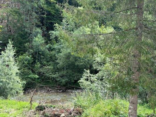 direkter Bachzugang - herrliches Gebirgswasser