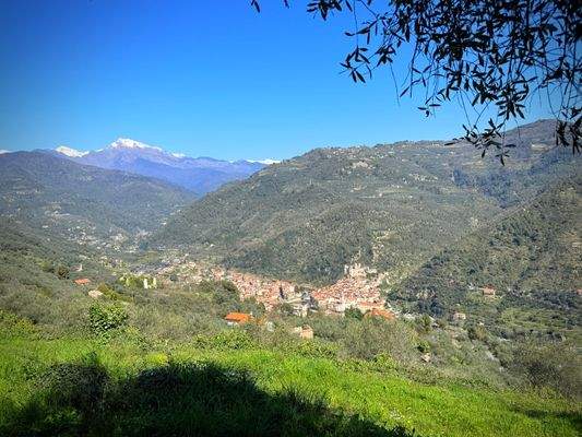 DA1003_14_TERRA ITALIA IMMOBILIEN_REAL ESTATE_LAND