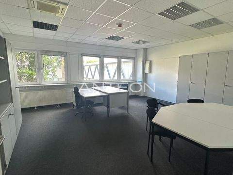 Gelsenkirchen Halle, Gelsenkirchen Hallenfläche