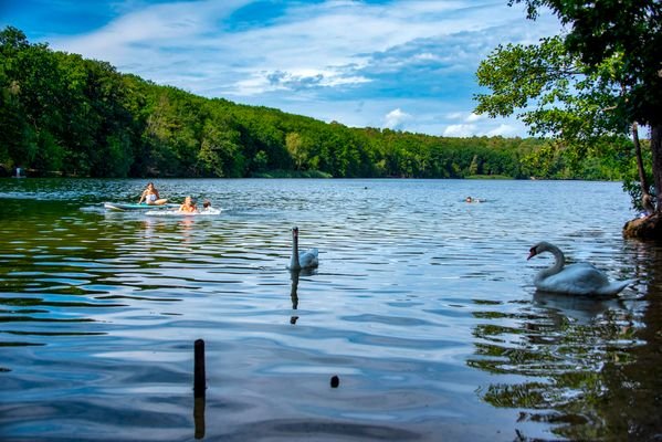 Schlachtensee