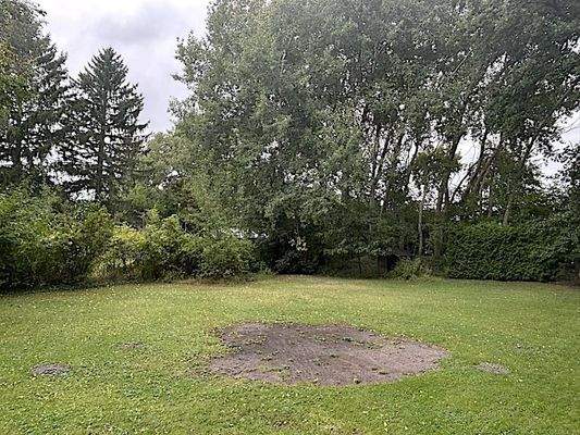 Sehr großer Baumbestand drumherum