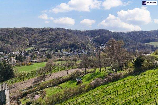 Fellergraben, 3400 Klosterneuburg