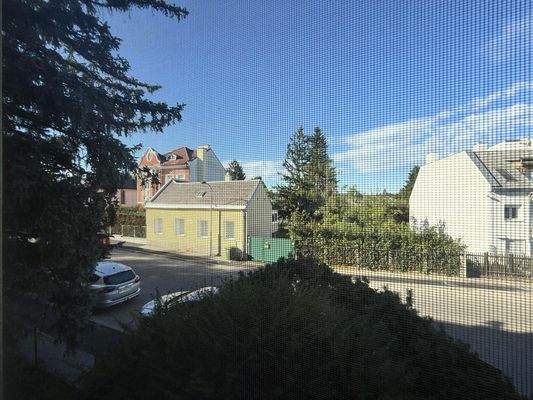 Ausblick vom Schlafzimmer 1 von 2 / Insektengitter