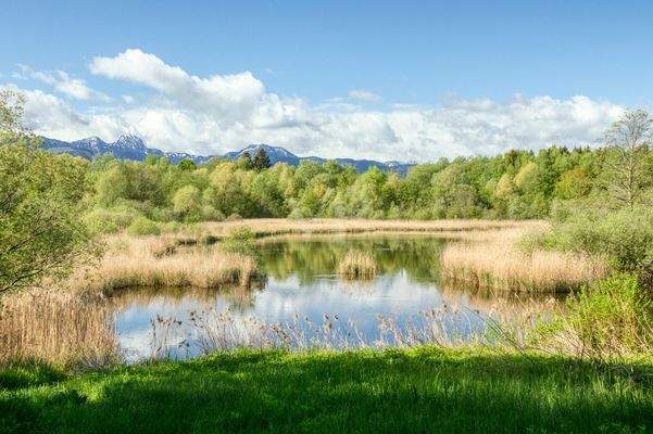 Naherholungsgebiet, Am Tonwerkweiher