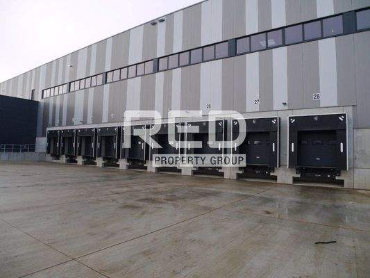 Halle miten Mönchengladbach