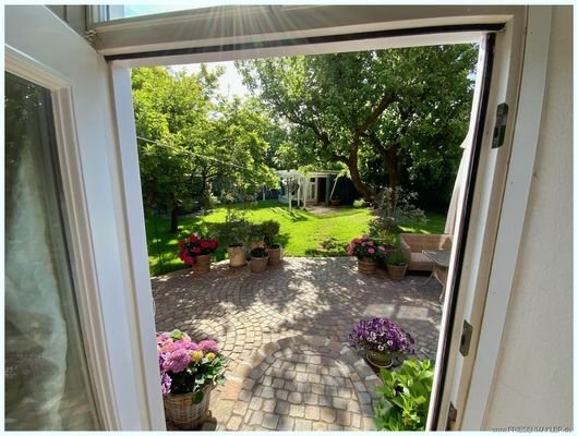 Blick in den Garten