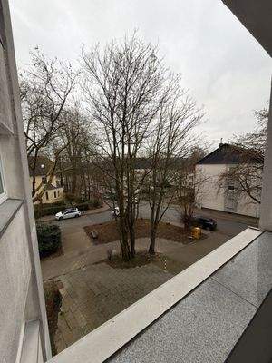 Aussicht auf Straße und Bäume