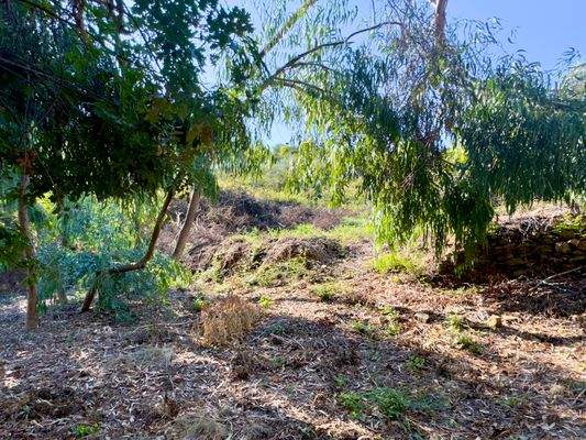 PE982_09 TERRA ITALIA IMMOBILIEN_TERRA ITALIA IMMO