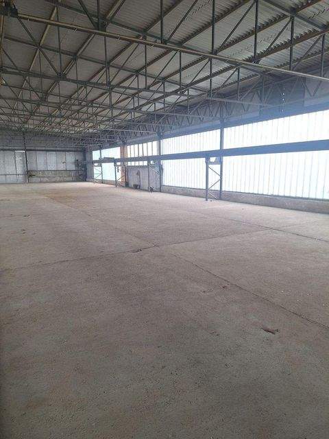 Leipzig Halle, Leipzig Hallenfläche