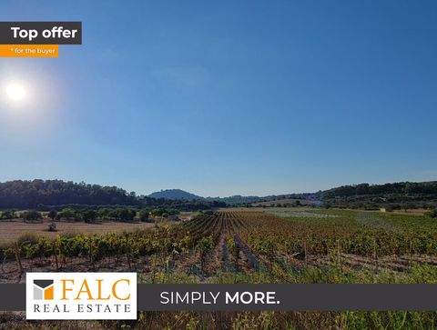 Porreres Grundstücke, Porreres Grundstück kaufen