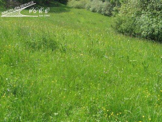 Unterböhr.Flur 1500-1=4.578 m² Foto 8