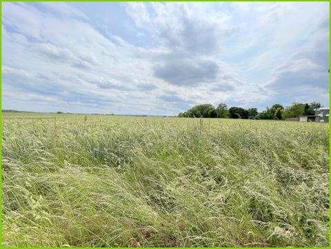 Hamm Bauernhöfe, Landwirtschaft, Hamm Forstwirtschaft