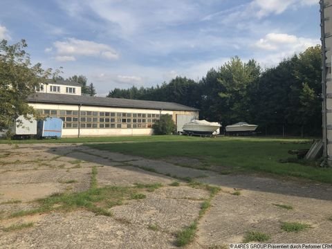 Bad Freienwalde Halle, Bad Freienwalde Hallenfläche