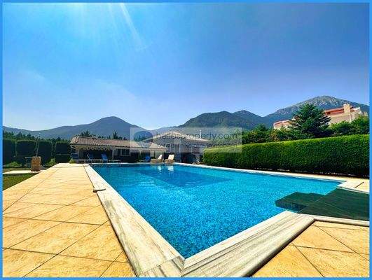 25a0beed2b6449e38bd09d3364dd5e39-original