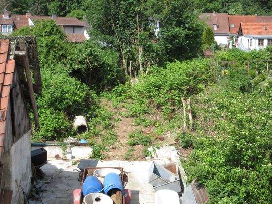 Blick in den Garten.JPG