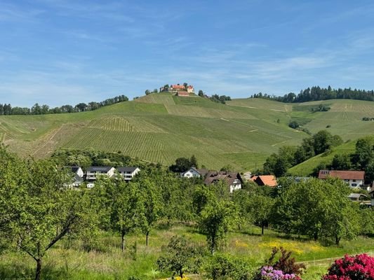 Sicht auf Staufenburg.jpg