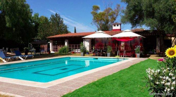 Screen Shot 2020-08-25 at 19.12.53