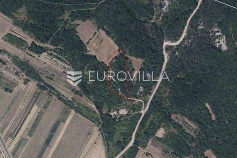 Buzet Bauernhöfe, Landwirtschaft, Buzet Forstwirtschaft