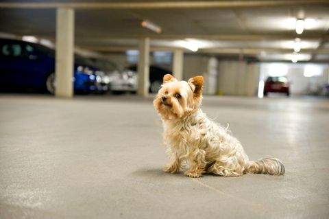 Hannover Garage, Hannover Stellplatz