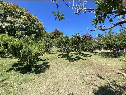 WhatsApp Image 2025-05-01 at 12.22.02.jpeg